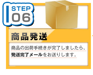 STEP06