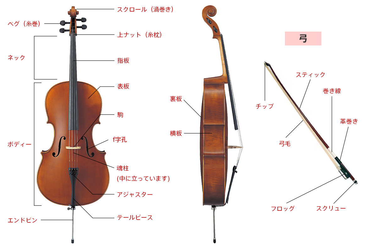 チェロの構造