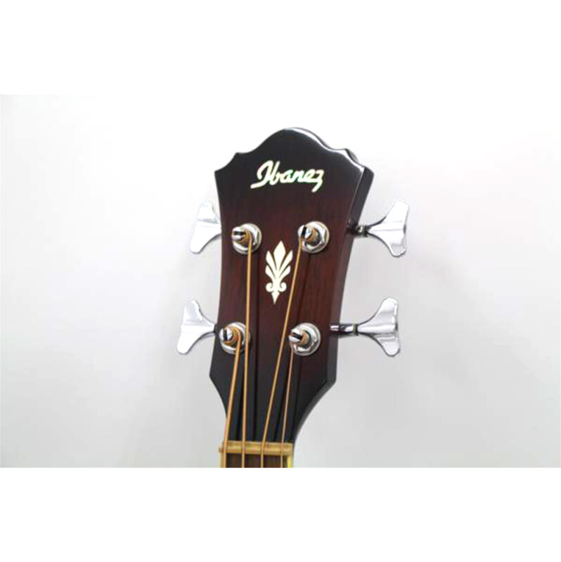 Ibanez（アイバニーズ）エレアコ ベース AEB10DVSの画像1