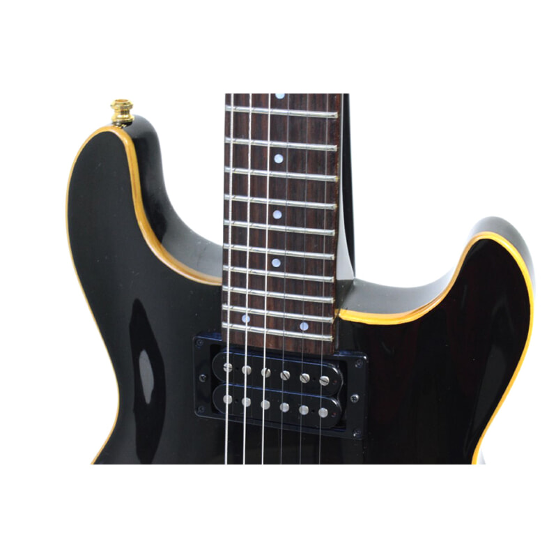 FERNANDES（フェルナンデス）APG-100  エレキギター ブラックの画像1