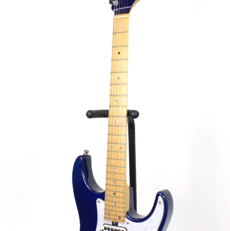 Bacchus（バッカス）エレキギター カスタムオーダー ソフトケース付の画像1