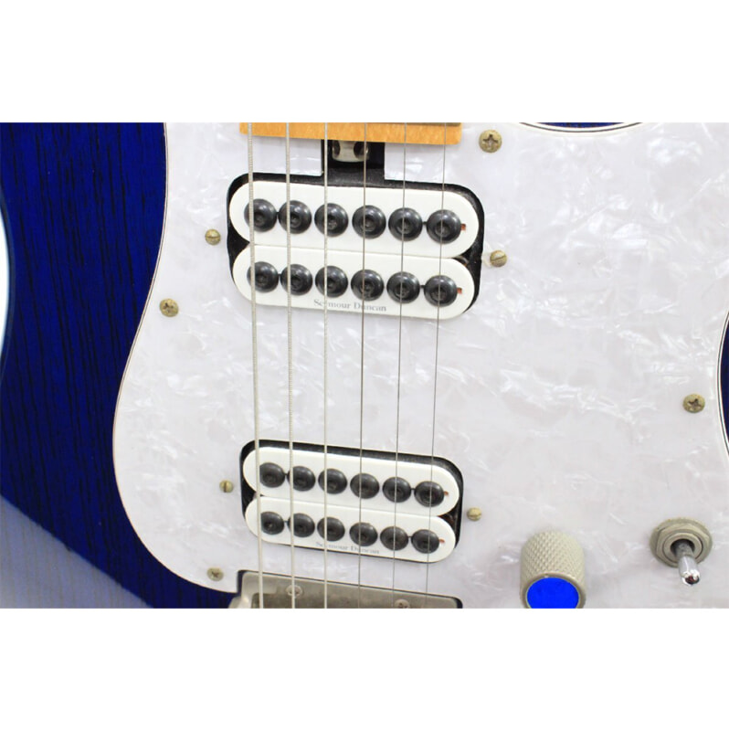 Bacchus（バッカス）エレキギター カスタムオーダー ソフトケース付の画像1