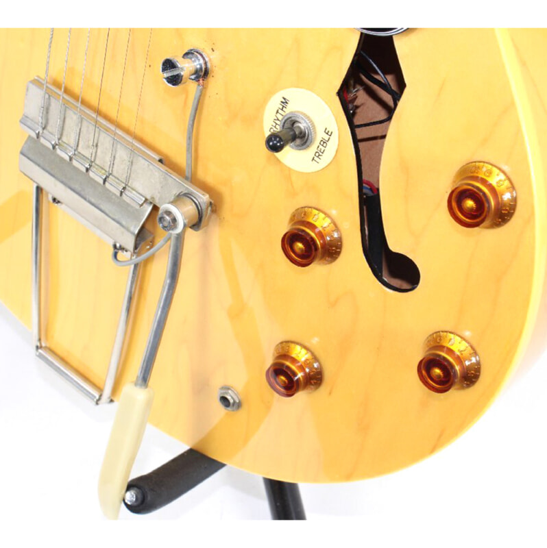 Epiphone（エピフォン）DOT NA セミアコースティックギター ハードケース付の画像1