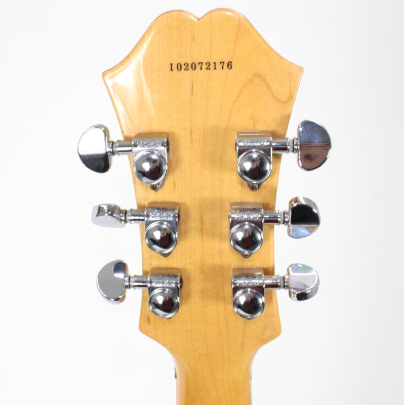 Epiphone（エピフォン）DOT NA セミアコースティックギター ハードケース付の画像1