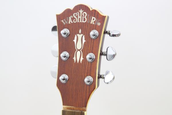 Washburn（ワッシュバーン）model.EA18/TS エレアコの画像1