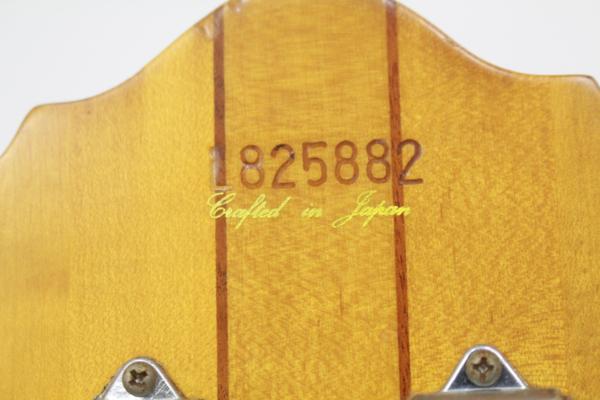 Ibanez アイバニーズ エレキベース Musician（ミュージシャン）シリーズの画像1