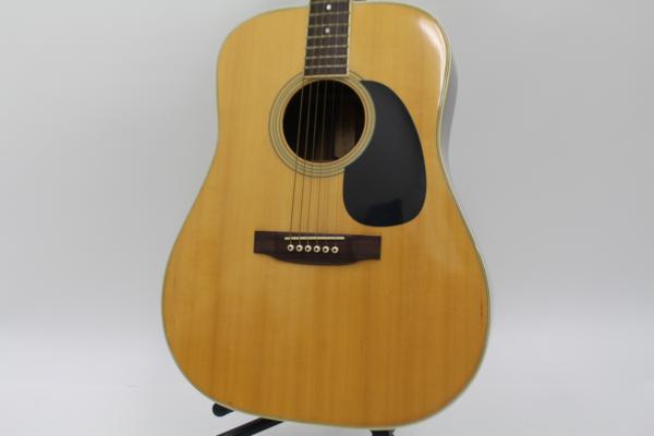 Elite（エリート） TW-40 アコースティックギター（タカミネ）の画像1