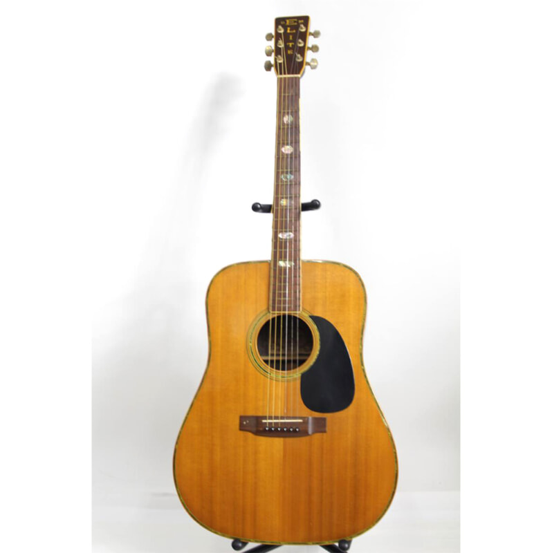Takamine（タカミネ）　Elite エリート TW80の画像1
