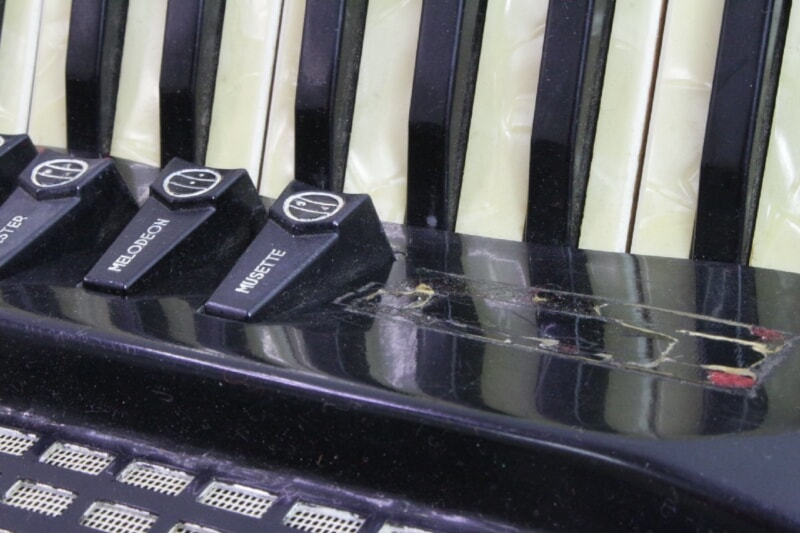 EXCELSIOR（エキセルシャー） アコーディオン 303 37鍵盤の画像1