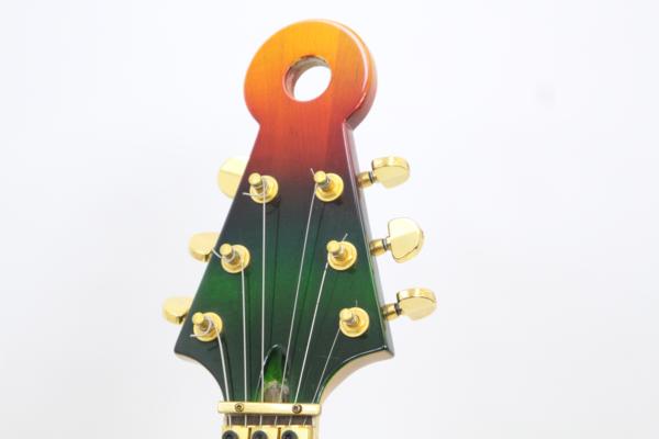 変形ギター DUNCAN DESIGNED GCA/Floyd Rose ラスタカラ―の画像1