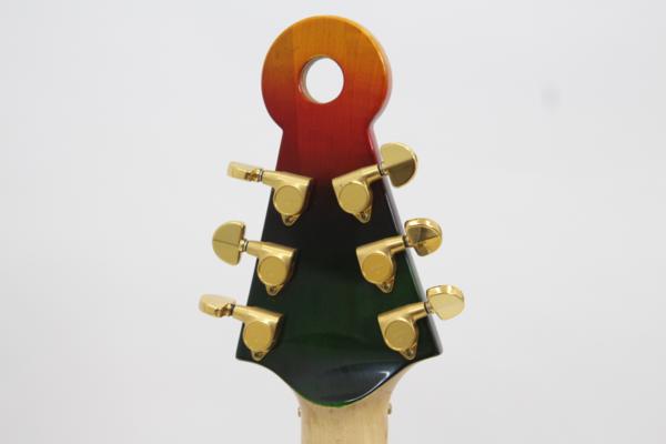 変形ギター DUNCAN DESIGNED GCA/Floyd Rose ラスタカラ―の画像1
