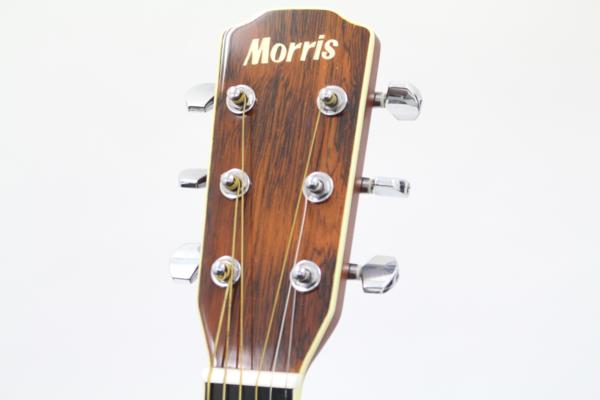 Morris（モーリス）アコースティックギター M-50の画像1