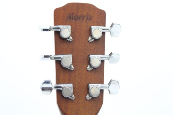 Morris（モーリス）アコースティックギター M-50の画像1