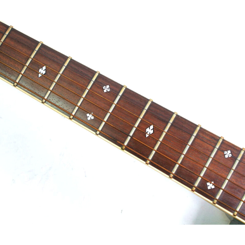 Takamine（タカミネ）NPT-110 エレアコ 専用ハードケース付の画像1