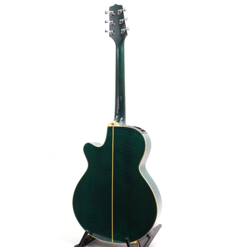 Takamine（タカミネ）NPT-110 エレアコ 専用ハードケース付の画像1