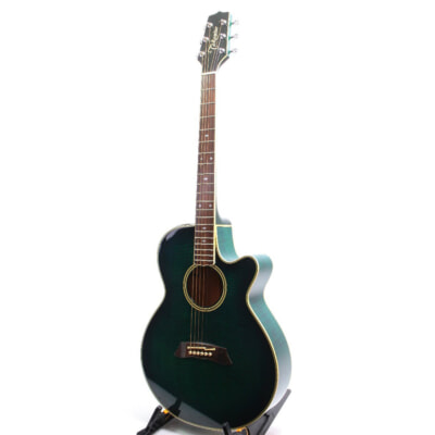 Takamine（タカミネ）NPT-110 エレアコ 専用ハードケース付