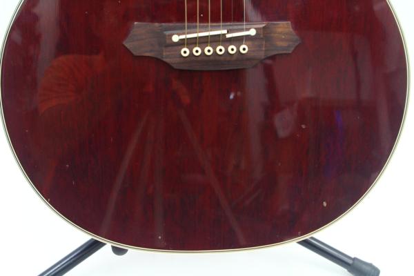 Takamine（タカミネ）エレアコ PT507の画像1