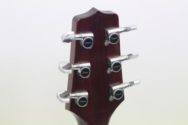 Takamine（タカミネ）エレアコ PT507の画像1