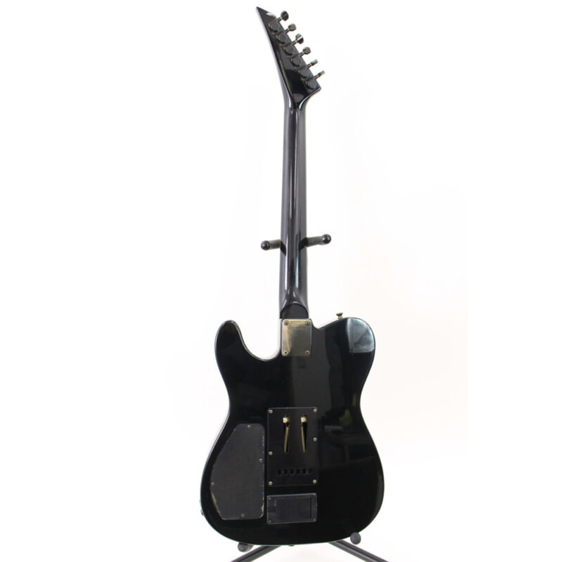 FERNANDES（フェルナンデス）TEJ Limited Edition ブラックの画像1