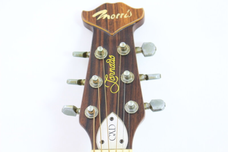 Morris（モーリス）Tornade GXD（トルネード GXD）エレアコ ブルーの画像1