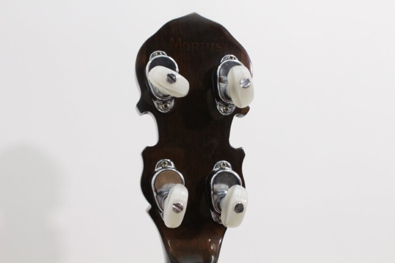 Morris（モーリス）バンジョー V-120の画像1