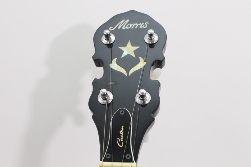 Morris（モーリス）バンジョー V-120の画像1