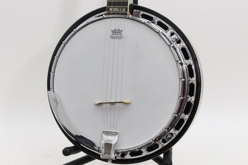 Morris（モーリス）バンジョー V-120の画像1