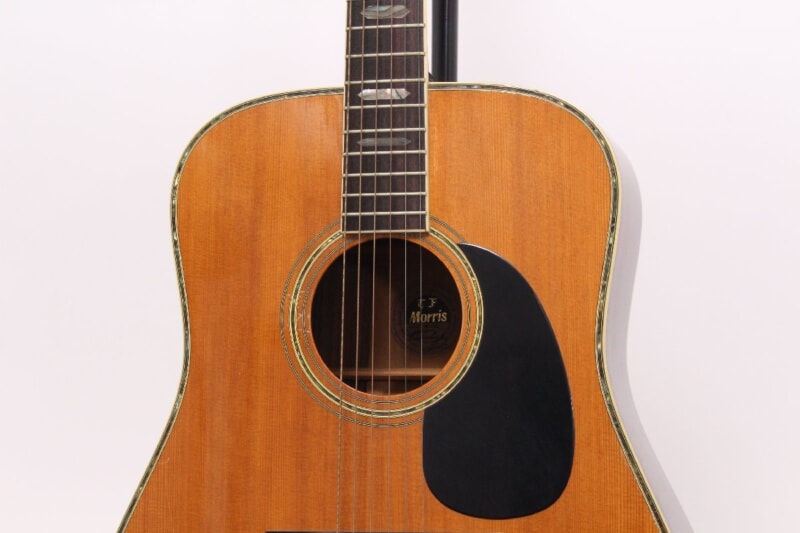 Morris（モーリス）アコースティックギター TF W-60の画像1