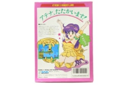 縮小画像1
