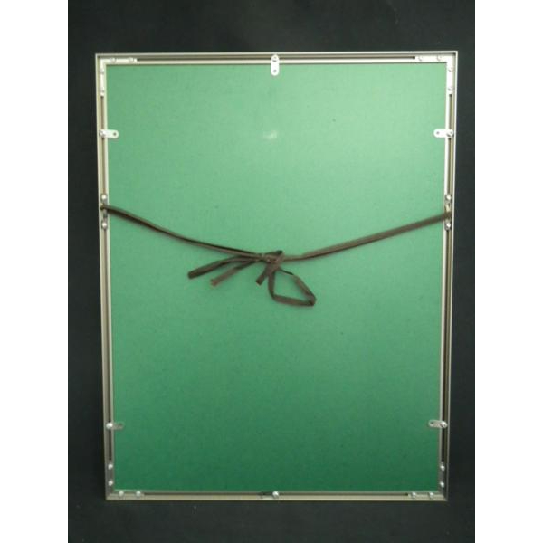 尾田栄一郎 ワンピース ～オレたち海賊世代～ 複製原画の画像1