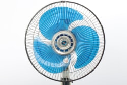 縮小画像1